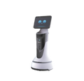 Robot d'accueil GreetingBot Mini